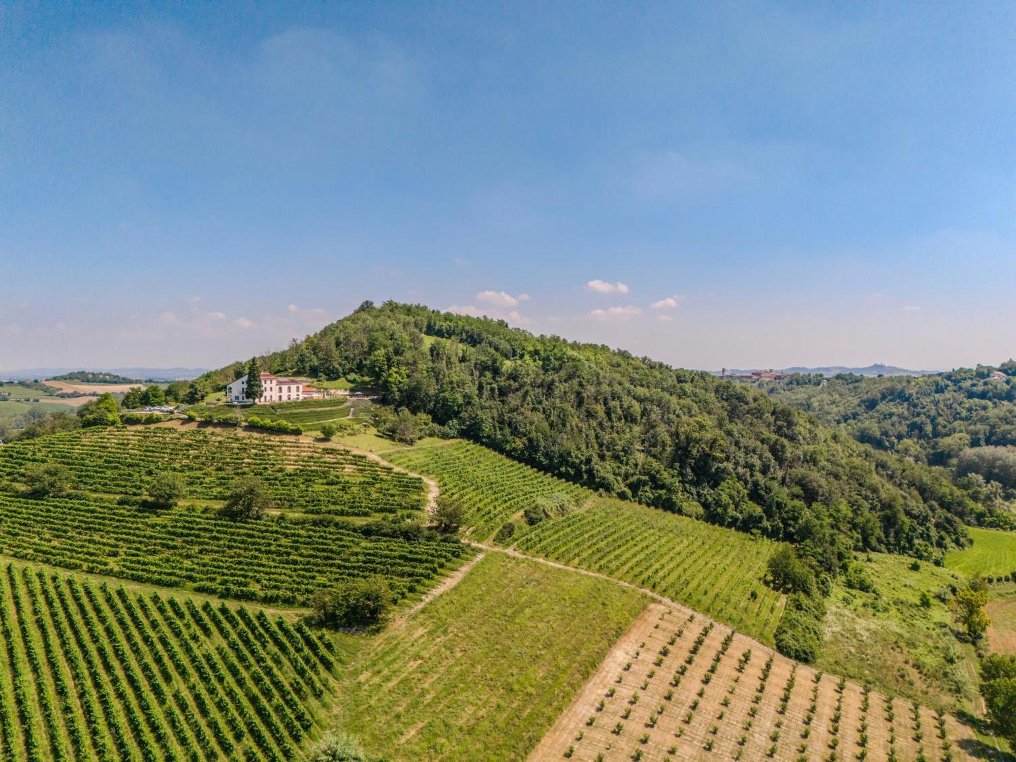 Villa Rocco Country House Ozzano Monferrato エクステリア 写真